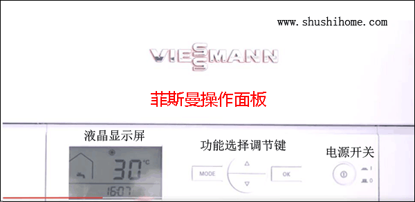 菲斯曼故障代碼FLU
