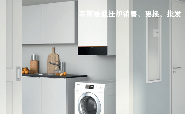 菲斯曼壁掛爐價(jià)格