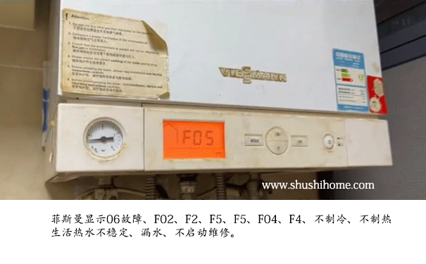 菲斯曼F05故障維修