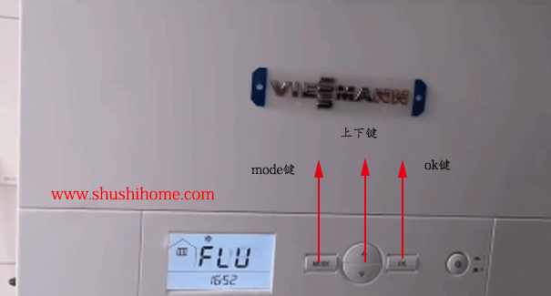 菲斯曼壁掛爐顯示FLU